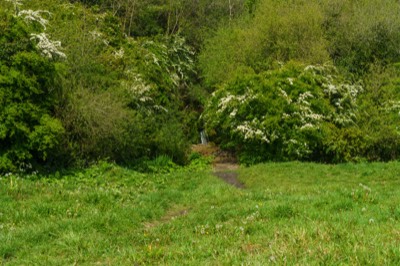  WATERFALL IN LEIXLIP 