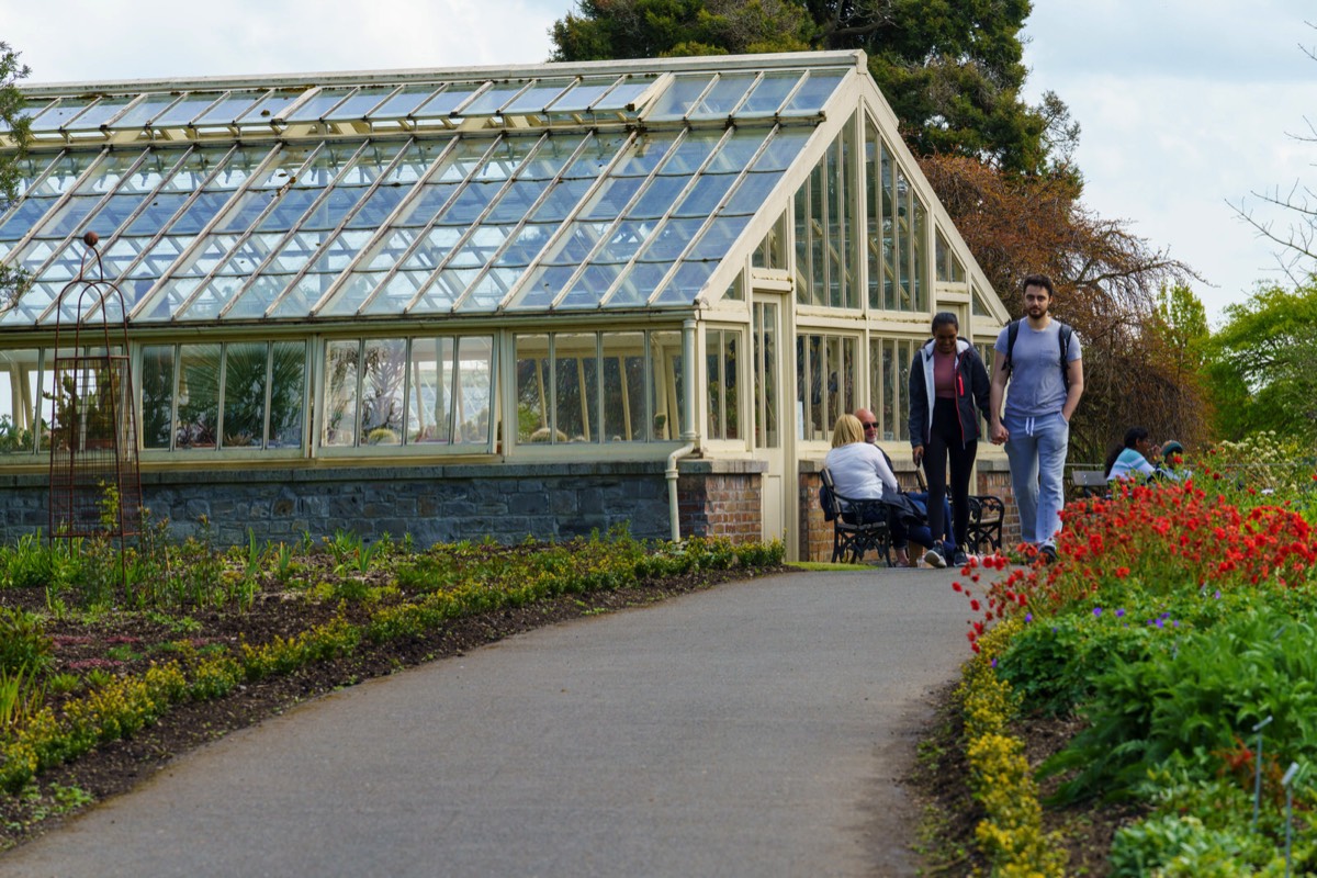 GLASSHOUSES IN THE BOTANIC GARDENS CURRENTLY CANNOT BE ACCESSED BY THE PUBLIC 002