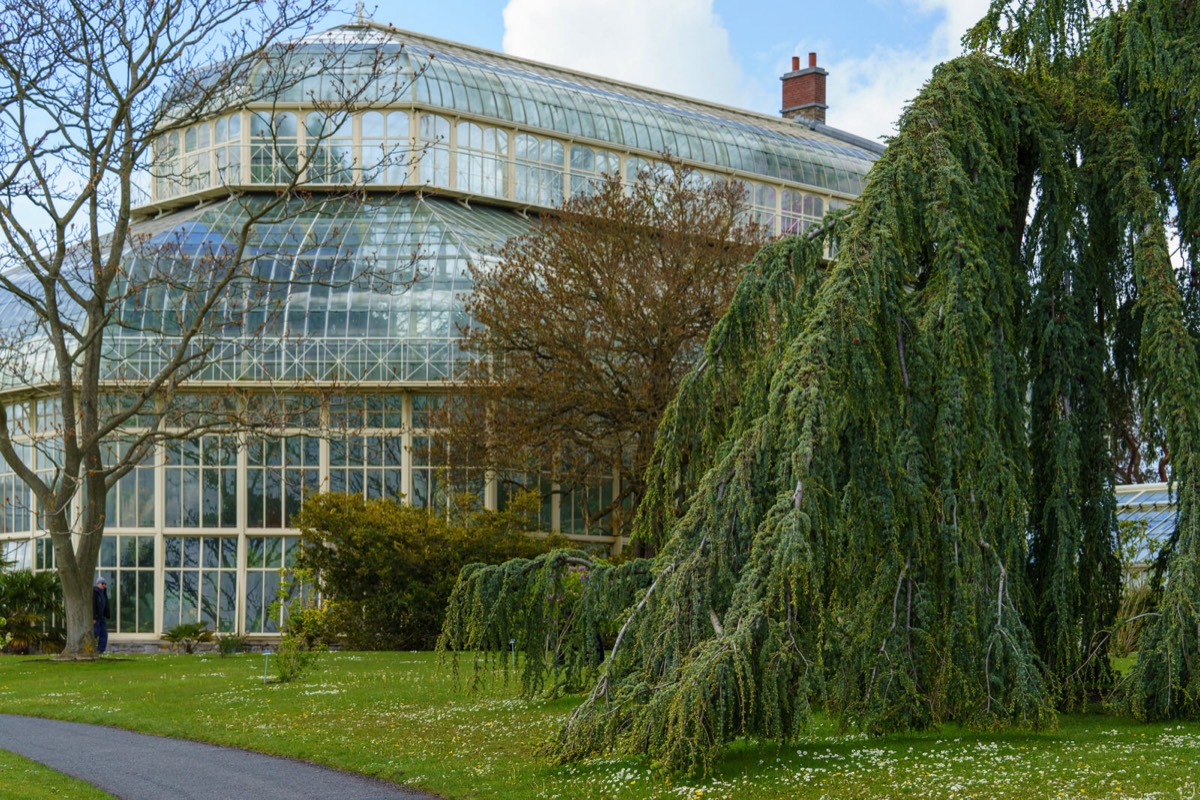 GLASSHOUSES IN THE BOTANIC GARDENS CURRENTLY CANNOT BE ACCESSED BY THE PUBLIC 005