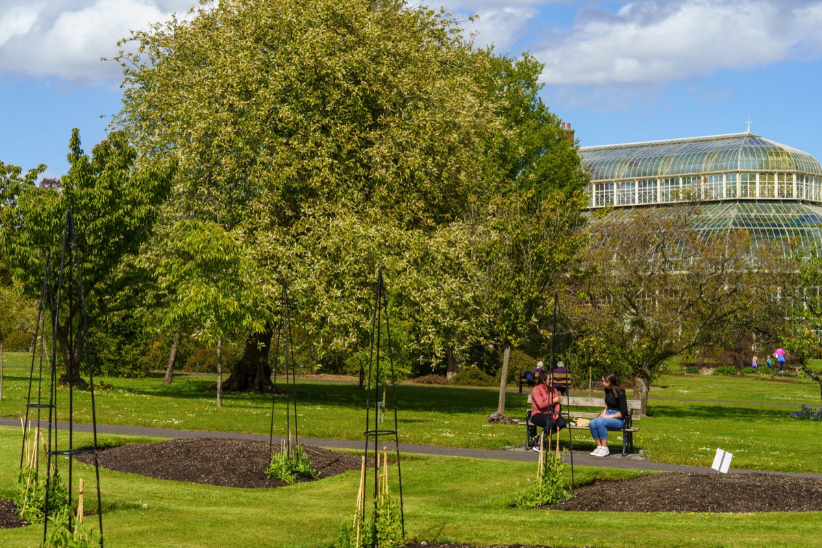 GLASSHOUSES IN THE BOTANIC GARDENS CURRENTLY CANNOT BE ACCESSED BY THE PUBLIC 006