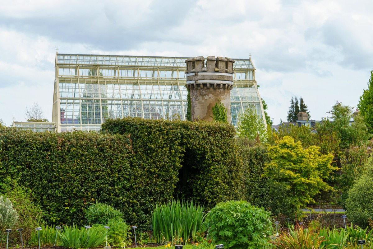 GLASSHOUSES IN THE BOTANIC GARDENS CURRENTLY CANNOT BE ACCESSED BY THE PUBLIC 007