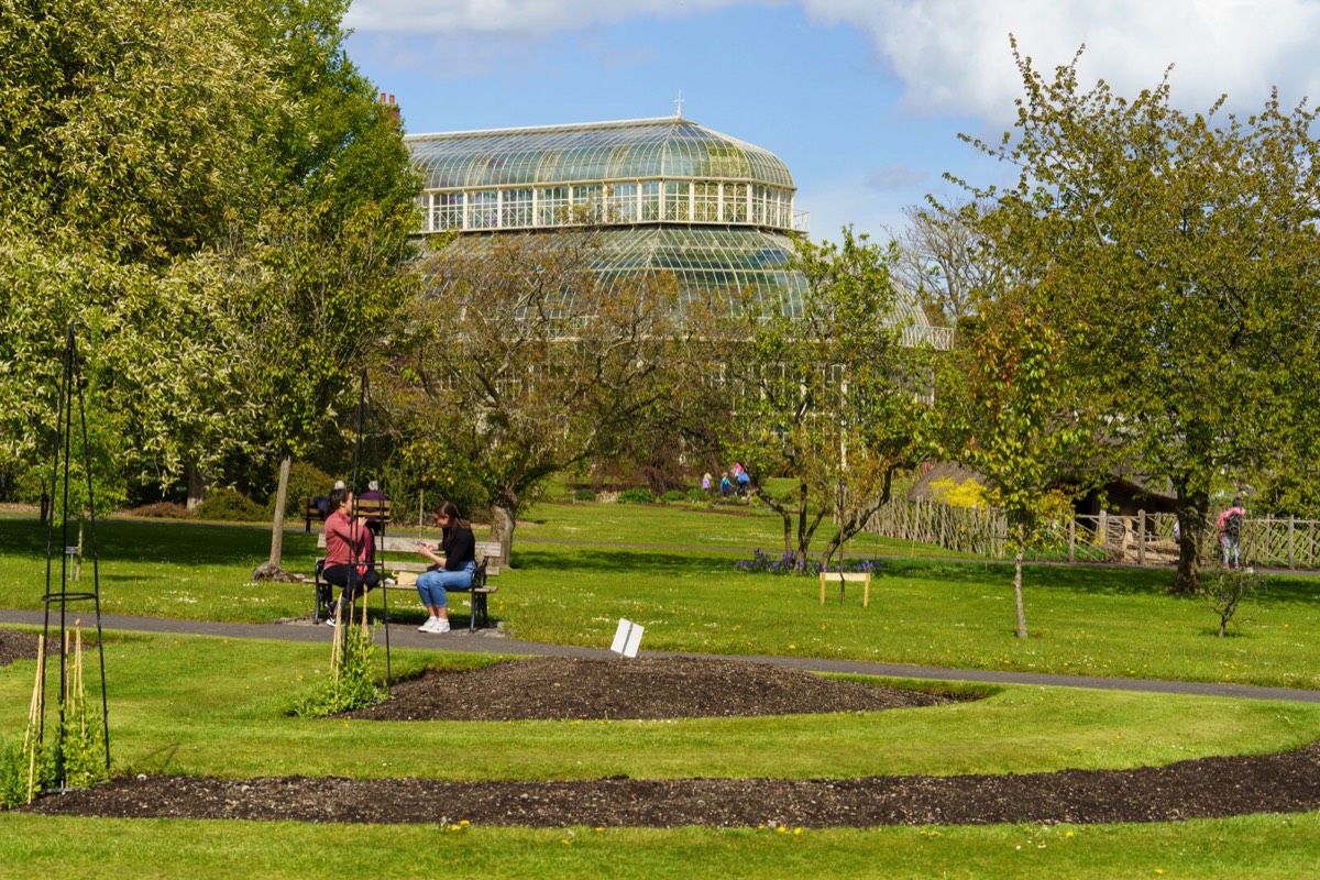 GLASSHOUSES IN THE BOTANIC GARDENS CURRENTLY CANNOT BE ACCESSED BY THE PUBLIC 010