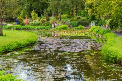  THE POND IS POPULAR WITH CHILDREN - BOTANIC GARDENS MAY 2021  