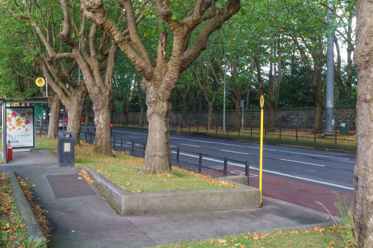 BUS STOP NO 18 HAS A REALLY ANNOYING LAYOUT  002