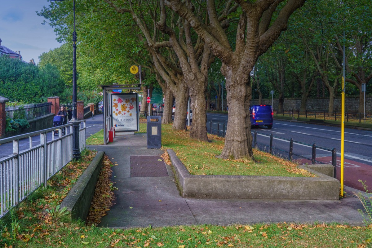 BUS STOP NO 18 HAS A REALLY ANNOYING LAYOUT  003