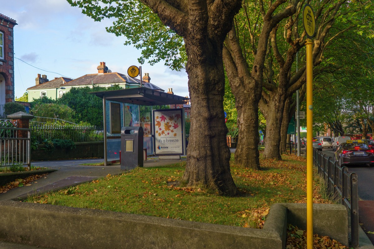 BUS STOP NO 18 HAS A REALLY ANNOYING LAYOUT  009