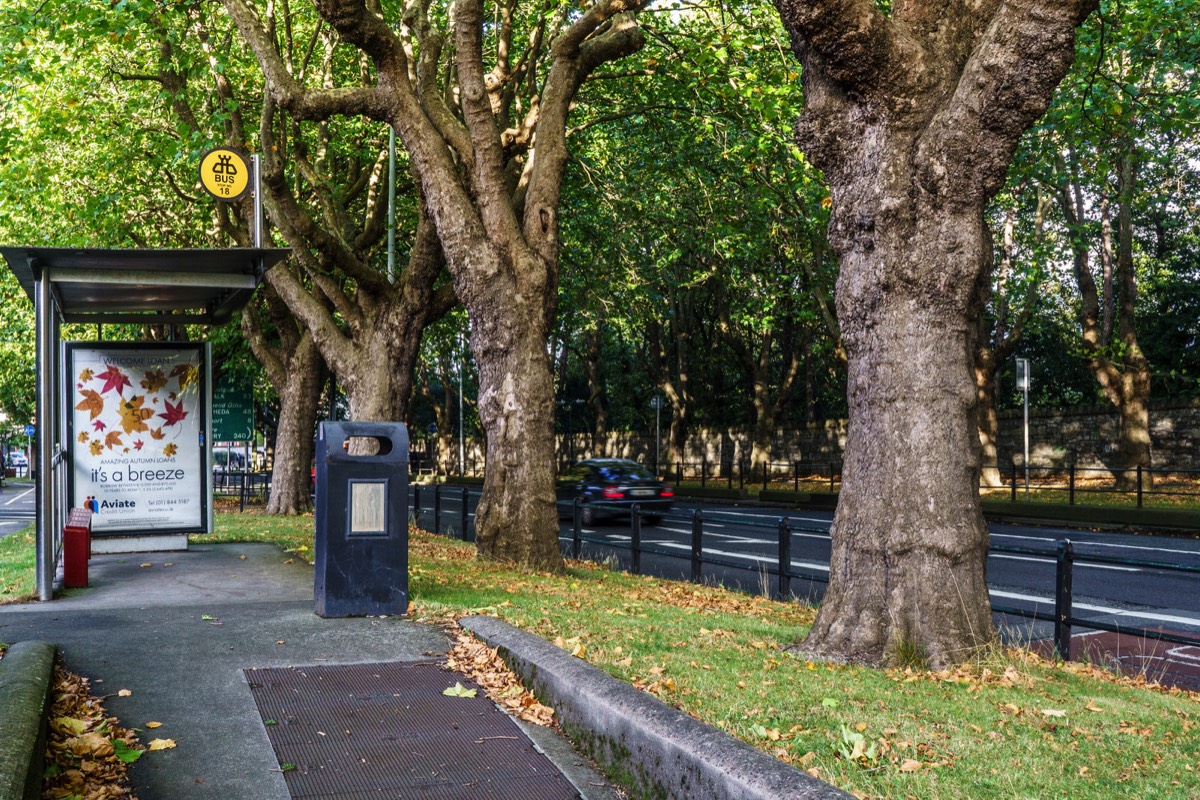 BUS STOP NO 18 HAS A REALLY ANNOYING LAYOUT  010