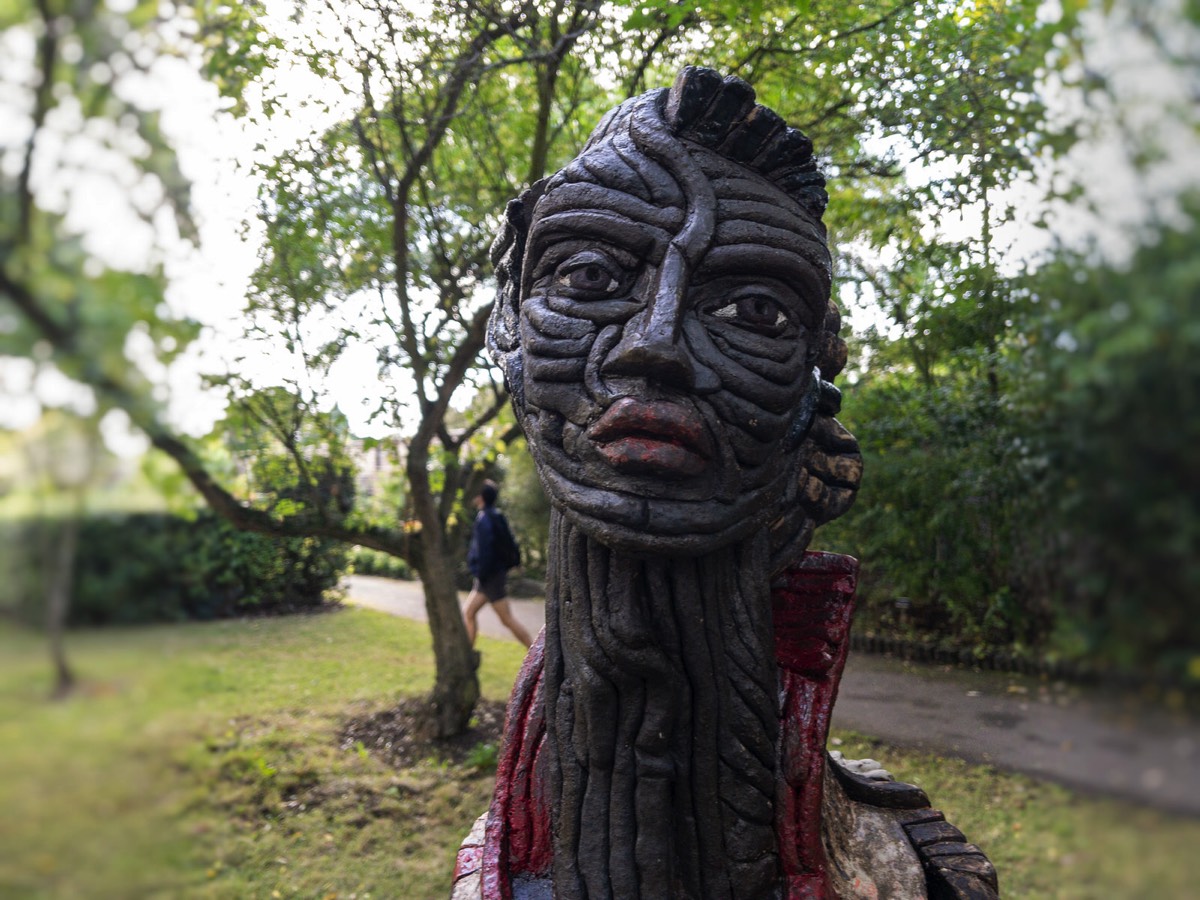 THE SOULS OF THE TREES - EBONY AND OAK BY MERCE CANADELL 009