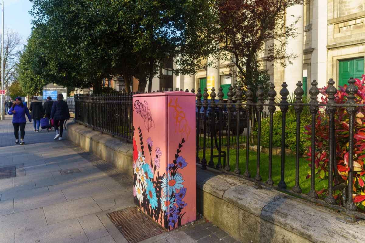 FLOWERS IN RATHMINES 001