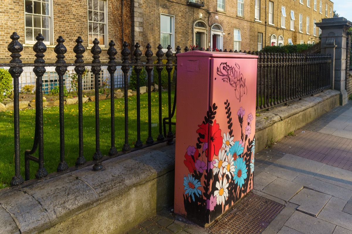 FLOWERS IN RATHMINES 002