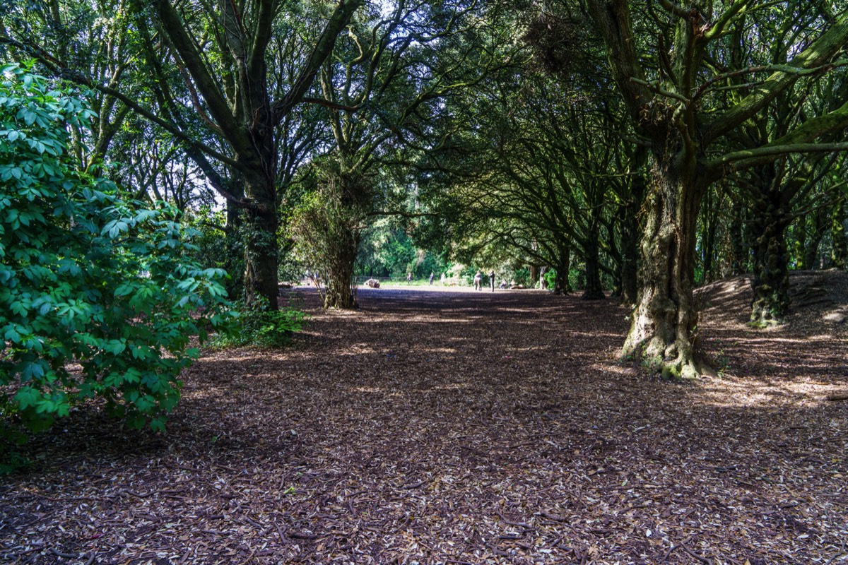 THERE IS A DEDICATED DOG PARK WITHIN SAINT ANNE