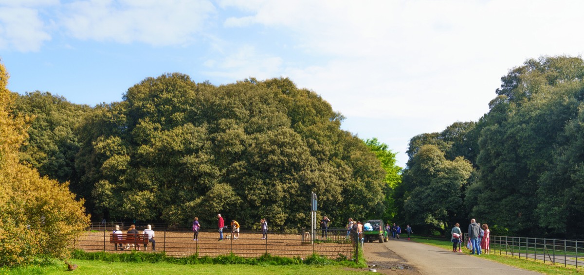 THERE IS A DEDICATED DOG PARK WITHIN SAINT ANNE