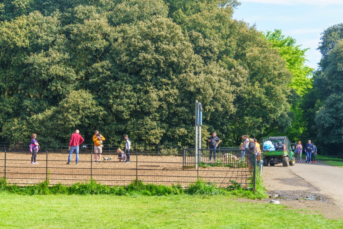 THERE IS A DEDICATED DOG PARK WITHIN SAINT ANNE