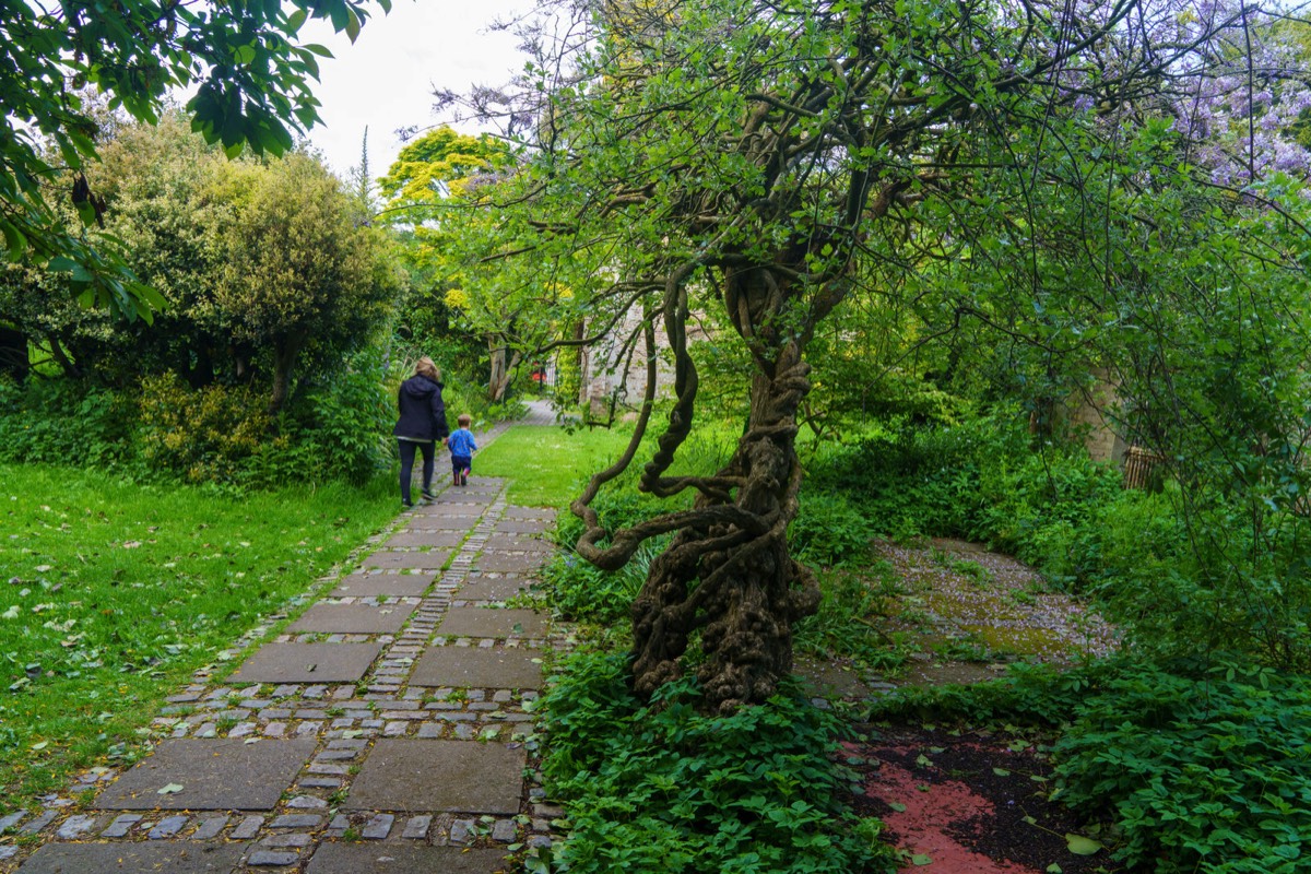 THE WALLED GARDEN AT SAINT ANNE