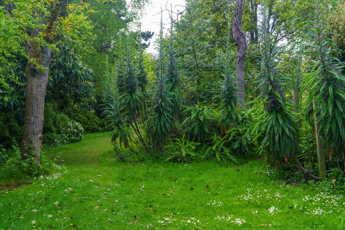 THE WALLED GARDEN AT SAINT ANNE