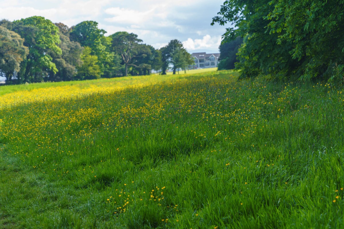 WILD MEADOWS AT SAINT ANNE