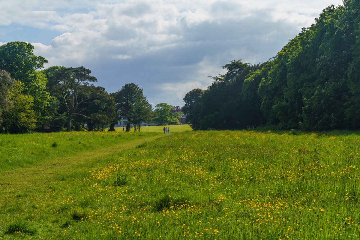 WILD MEADOWS AT SAINT ANNE