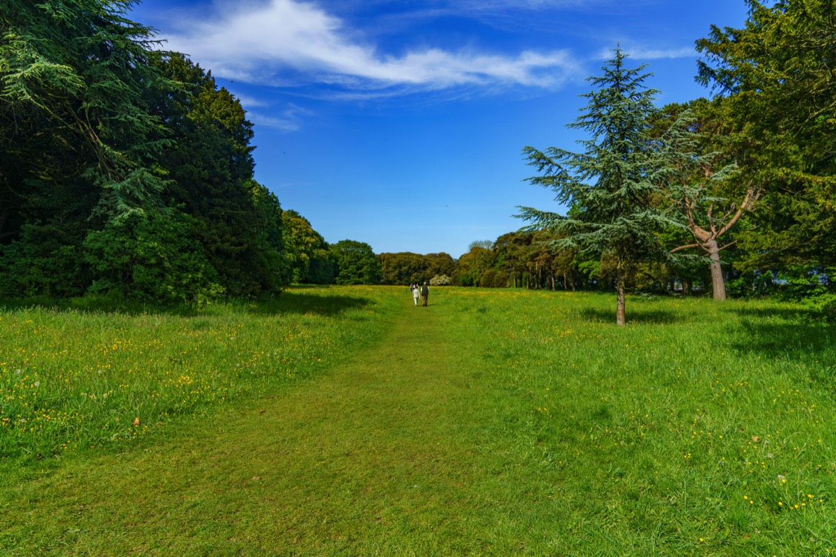 WILD MEADOWS AT SAINT ANNE