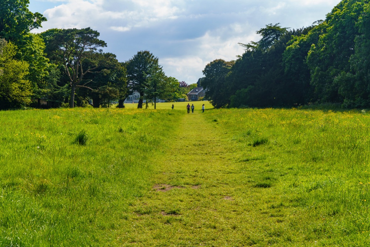 WILD MEADOWS AT SAINT ANNE