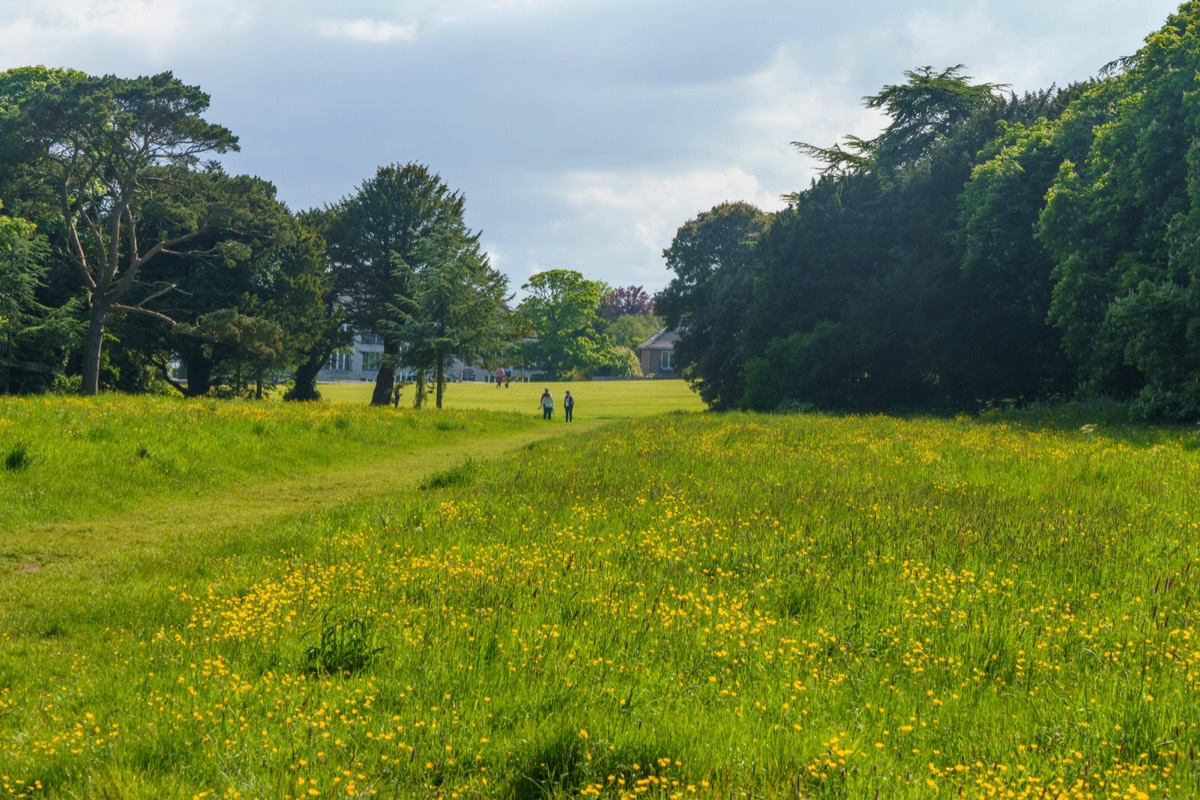 WILD MEADOWS AT SAINT ANNE