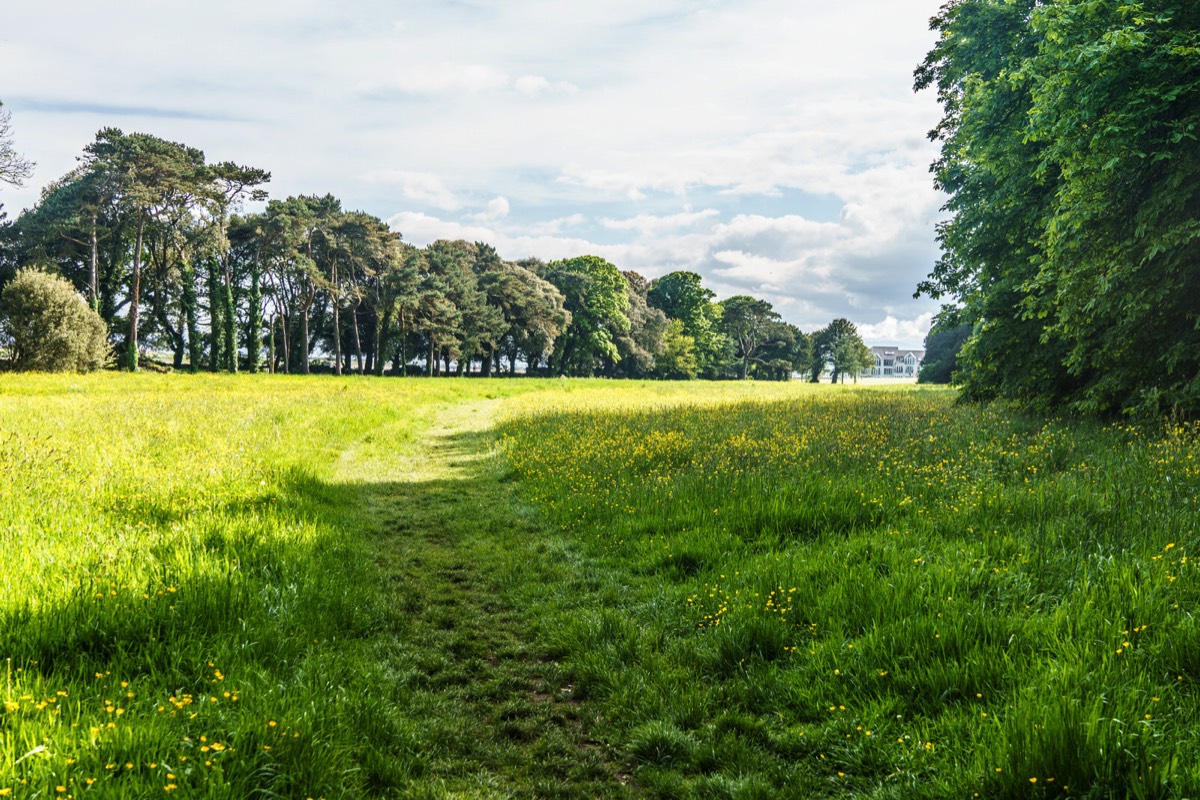 WILD MEADOWS AT SAINT ANNE