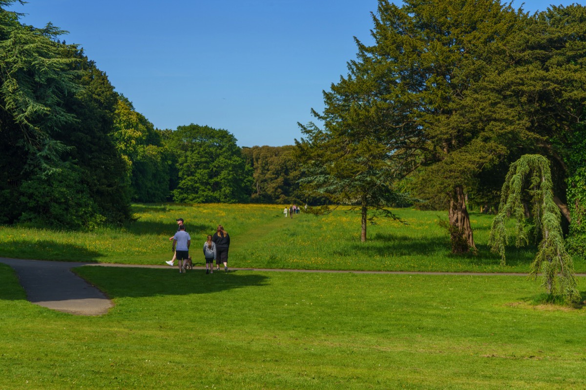 WILD MEADOWS AT SAINT ANNE