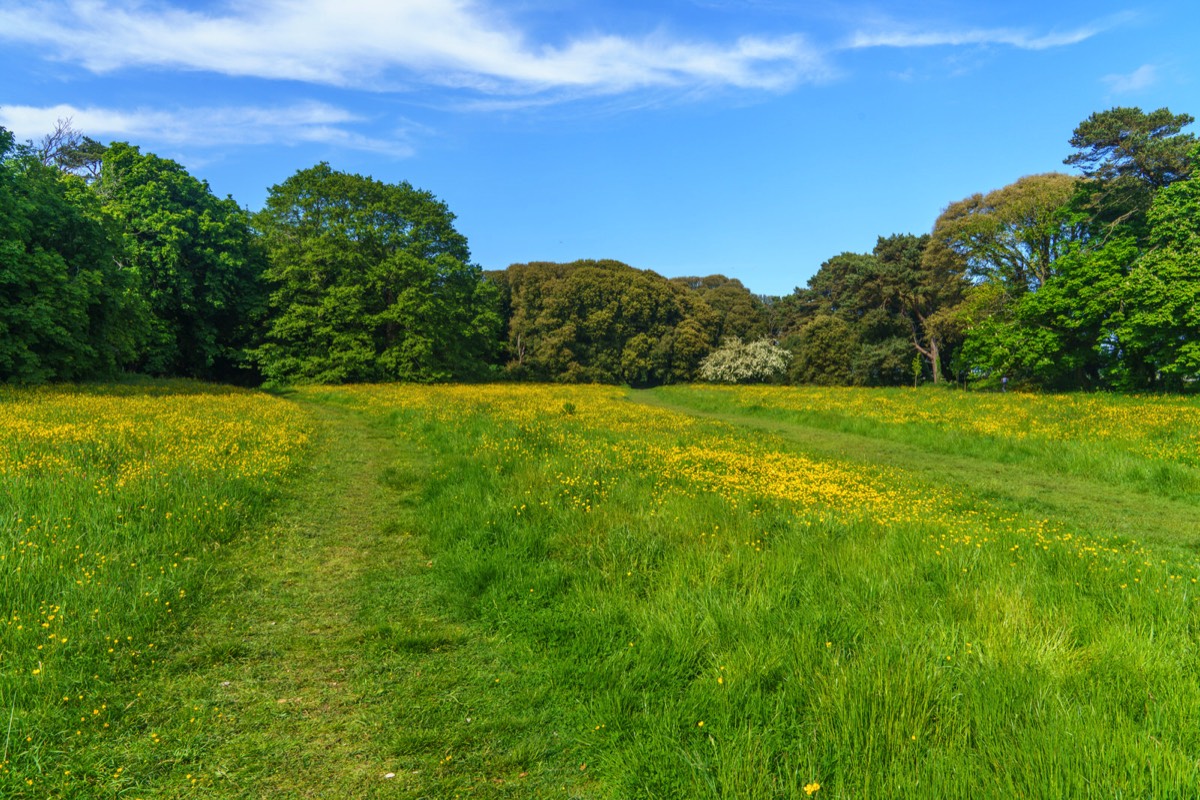 WILD MEADOWS AT SAINT ANNE