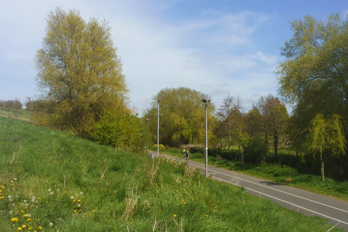 TOLKA VALLEY PARK 018