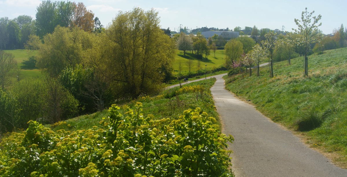 TOLKA VALLEY PARK 023