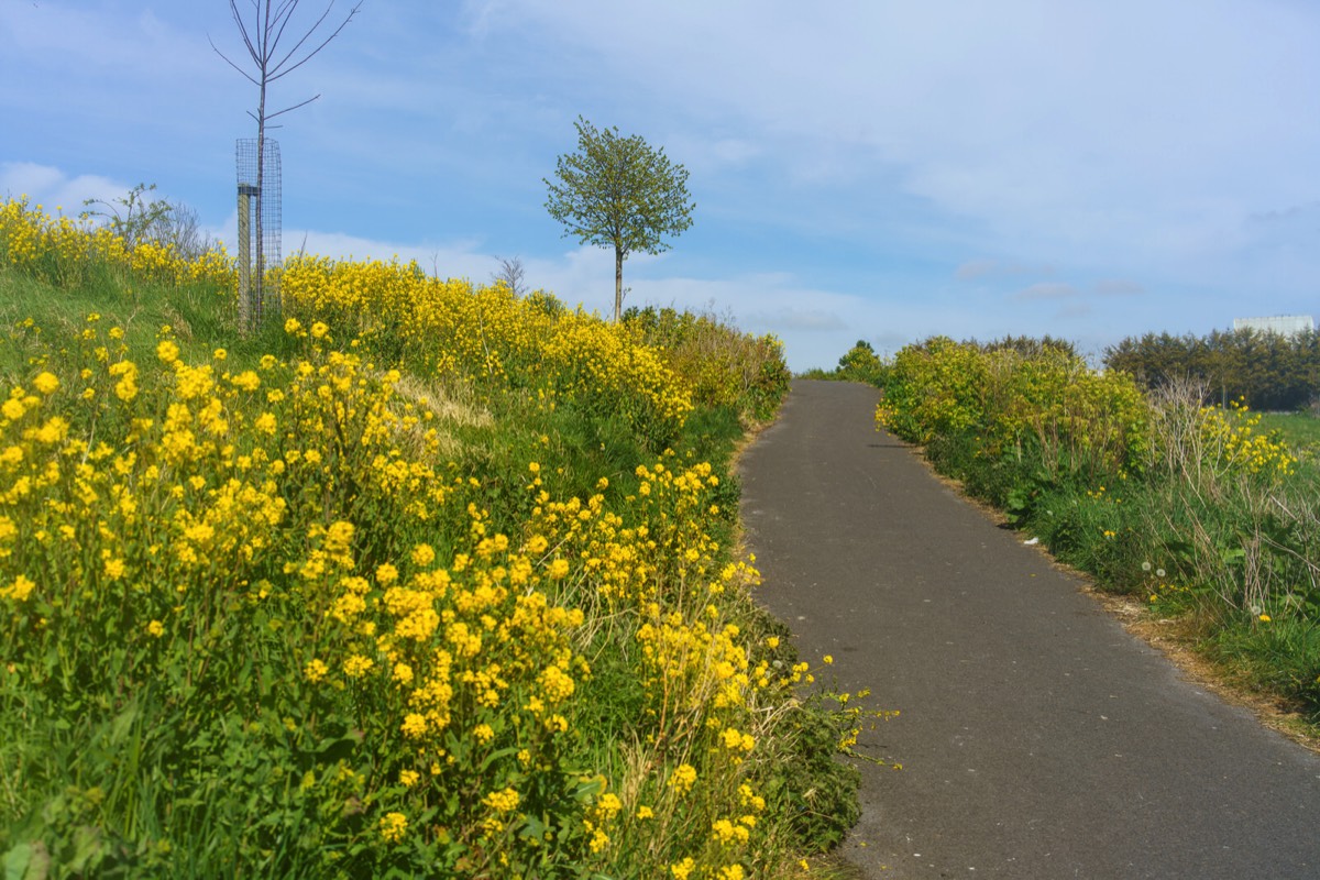 TOLKA VALLEY PARK 024