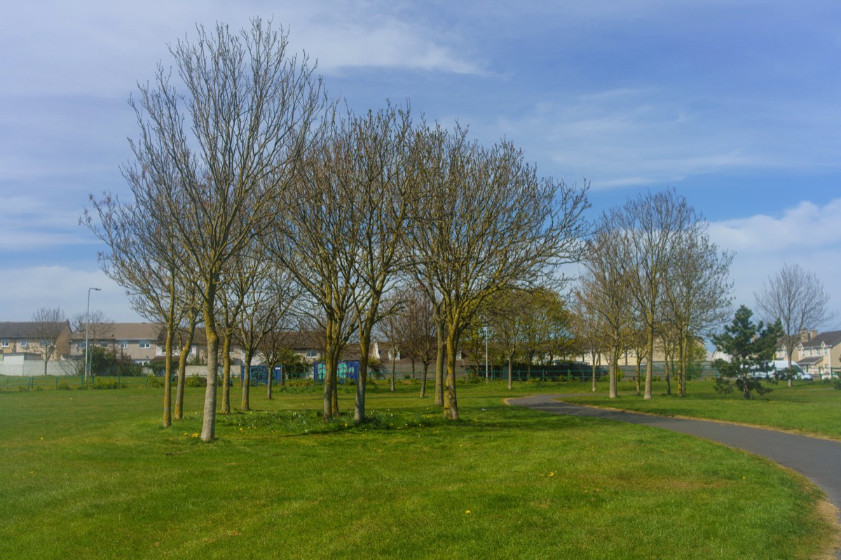 TOLKA VALLEY PARK 025 