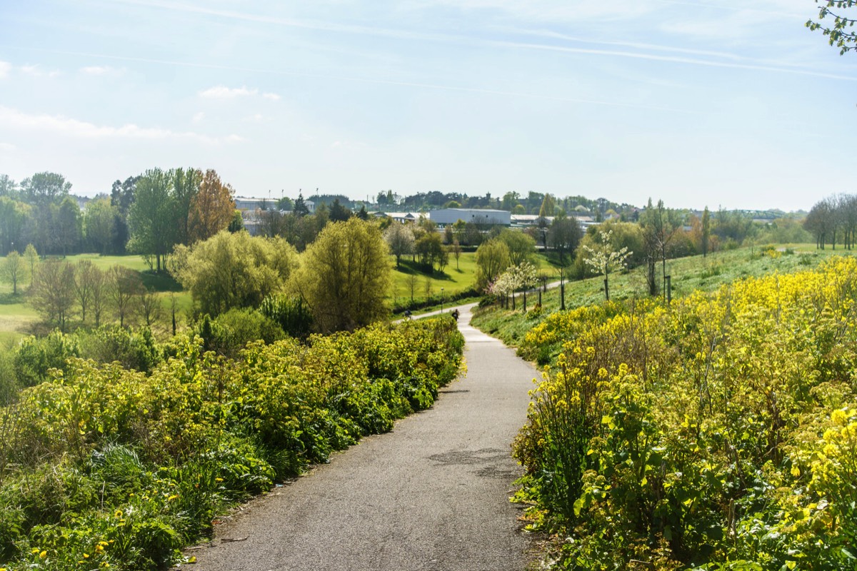 TOLKA VALLEY PARK 026