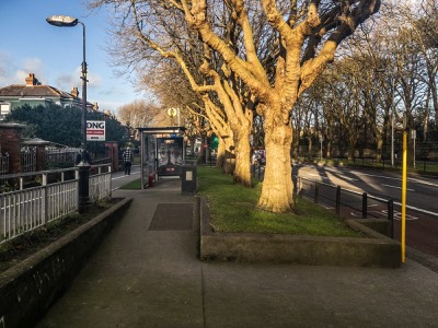  ANNOYING BUS STOP 