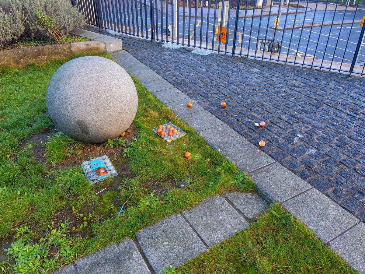 EGGING PASSING TRAMS AND PEDESTRIANS 001