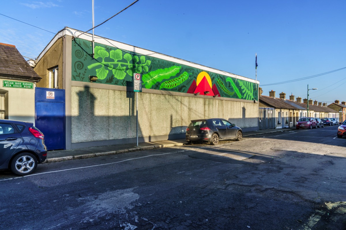 MANY VIKING STREET NAMES  IN  ARBOUR HILL - STONEYBATTER   023