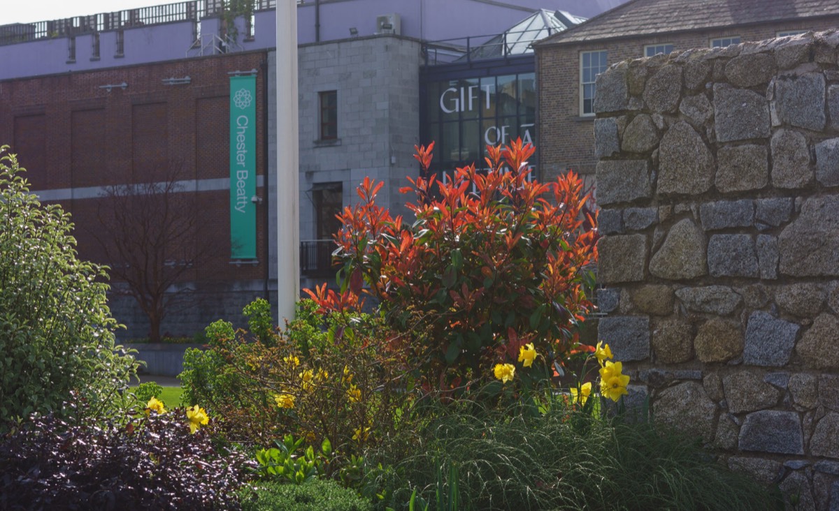 DUBLIN CASTLE AND GROUNDS - I USED A TEN YEAR OLD SONY NEX-7 015