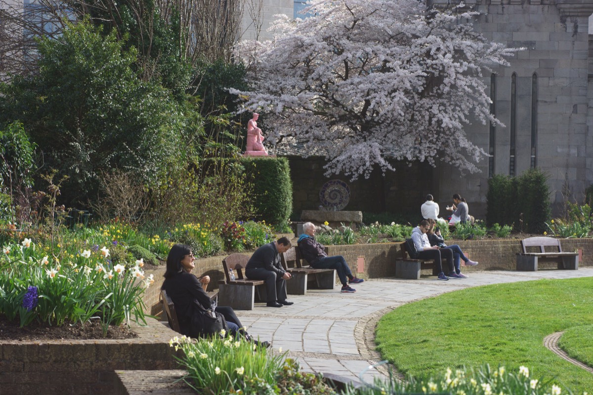 DUBLIN CASTLE AND GROUNDS - I USED A TEN YEAR OLD SONY NEX-7 018