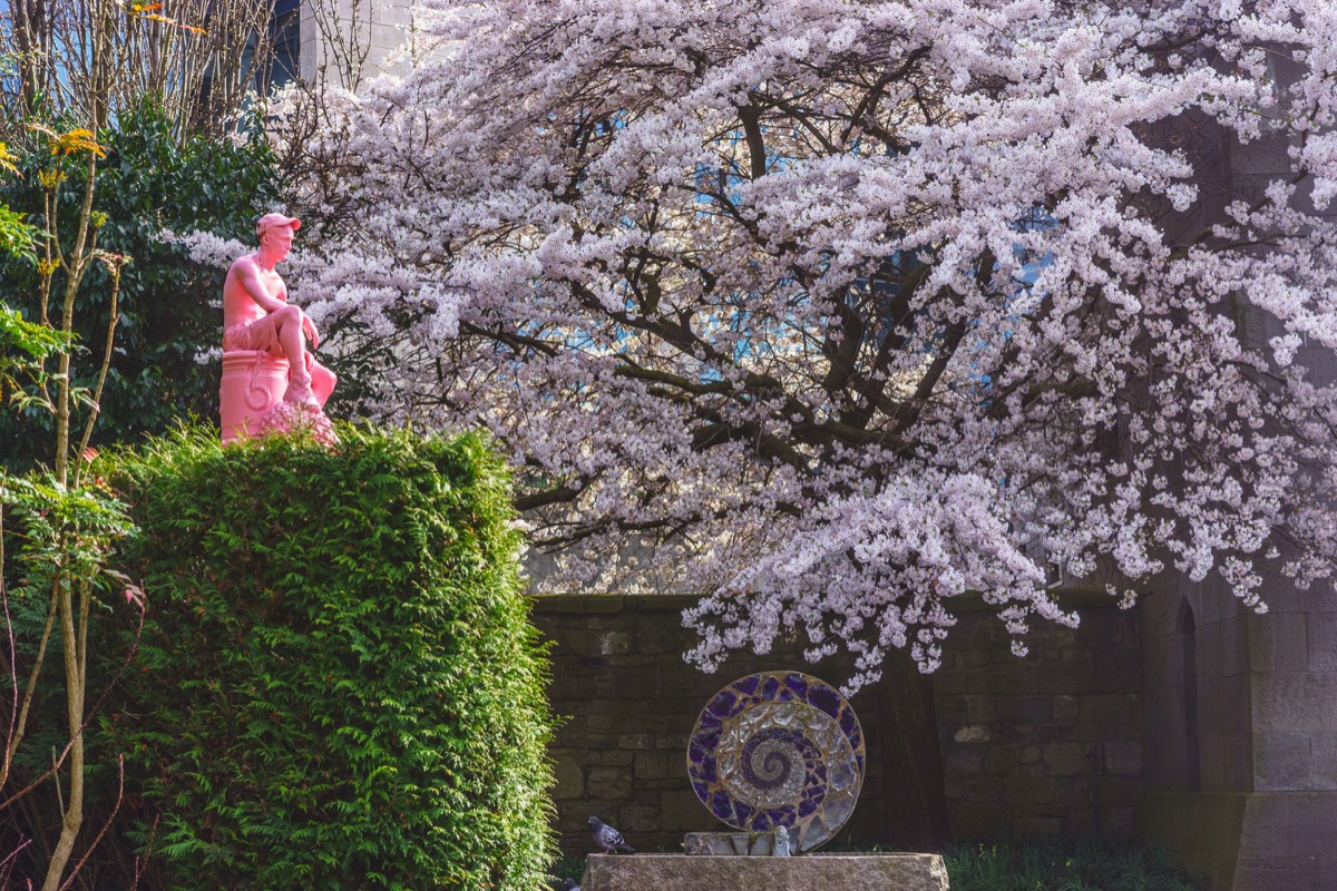 DUBLIN CASTLE AND GROUNDS - I USED A TEN YEAR OLD SONY NEX-7 022