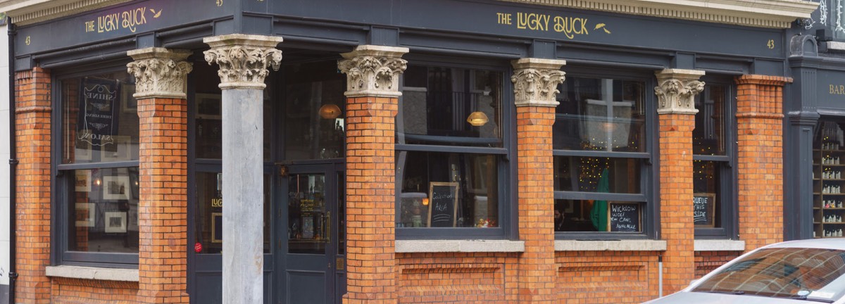 THE LUCKY DUCK - A NEW PUB 002