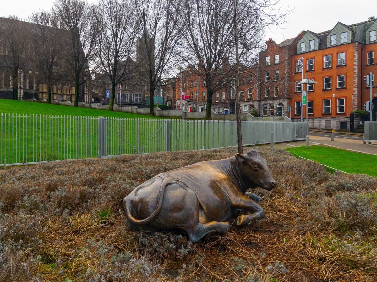 BRONZE COW BY JACKIE McKENNA MOVED FROM WOLFE TONE PARK TO WOOD QUAY  003