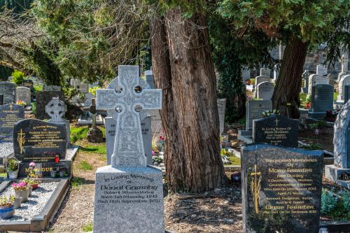 ST MARY'S CHURCH OF IRELAND GRAVEYARD -  KERBING PROHIBITED  005