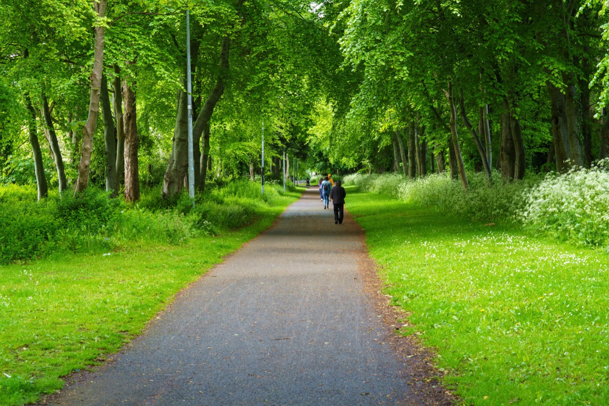 CLONSILLA ROAD NEAR COOLMINE TRAIN STATION 002