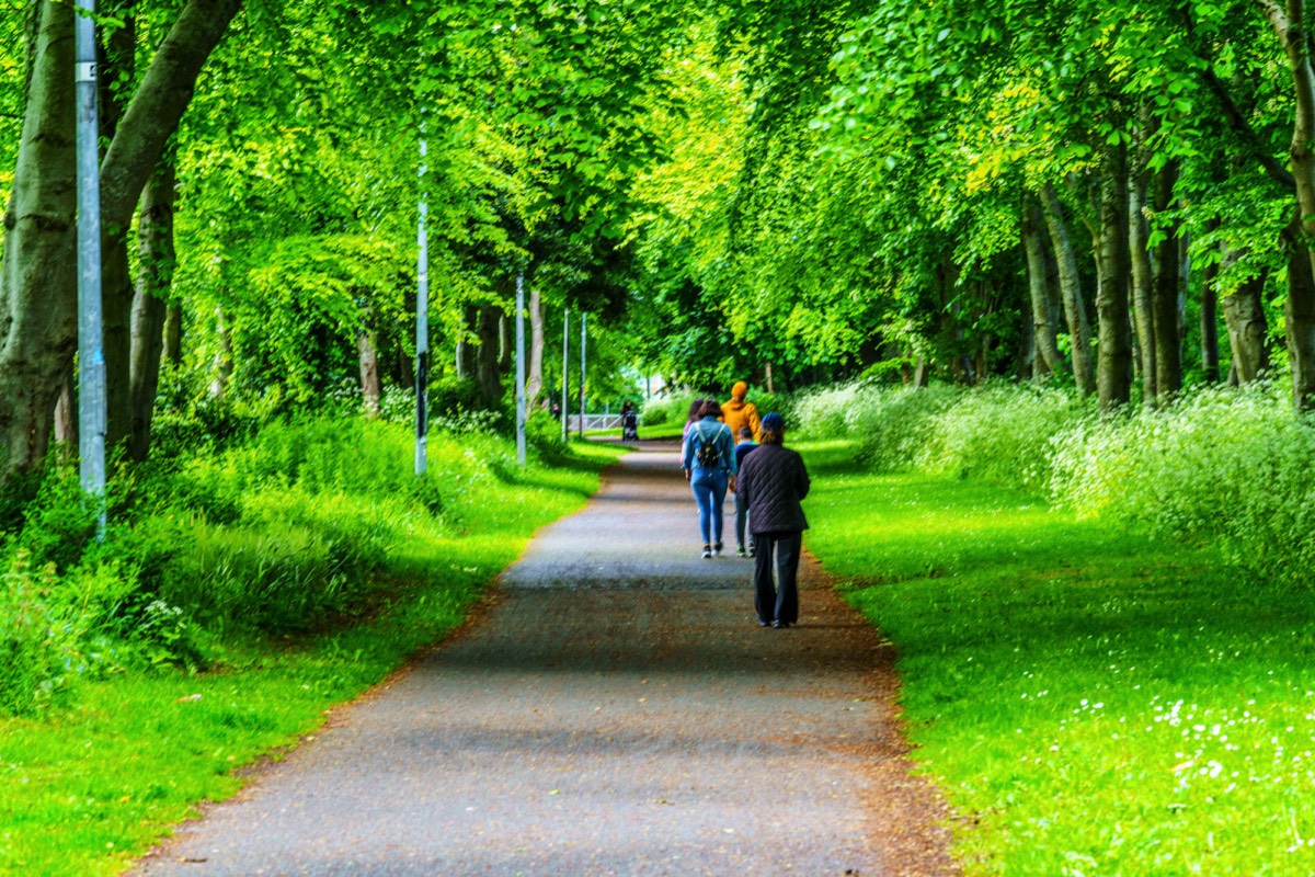 CLONSILLA ROAD NEAR COOLMINE TRAIN STATION 003