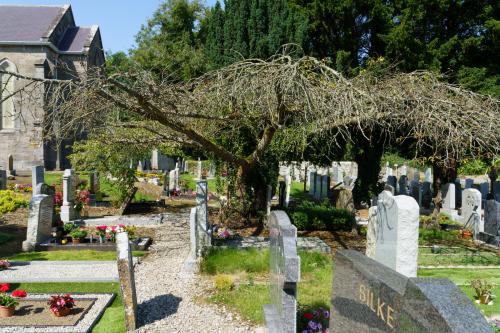 ST MARY'S CHURCH OF IRELAND CHURCH - MY FIRST EVER VISIT  022