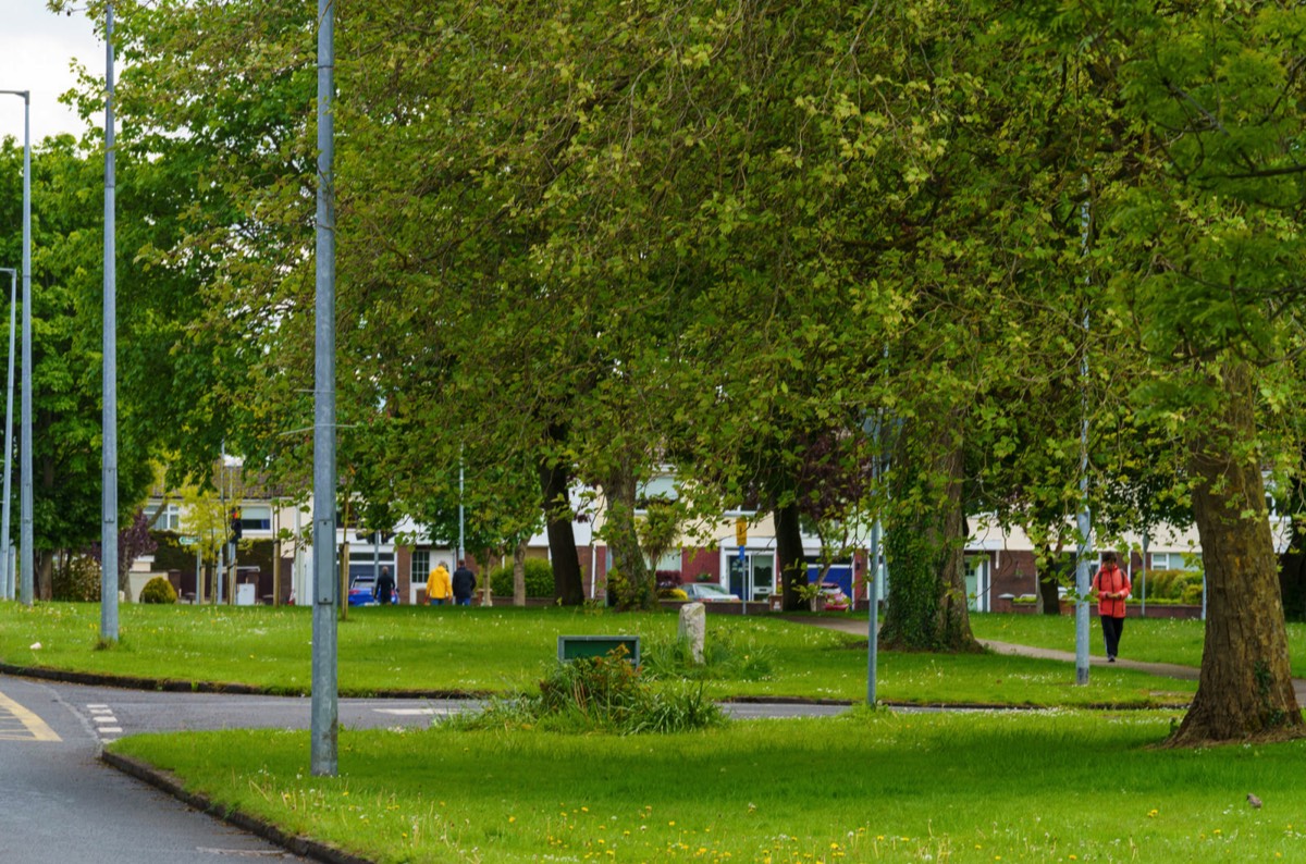 A WALK ALONG COOLMINE ROAD  FROM THE RAILWAY STATION TO CLONSILLA ROAD JUNCTION 003