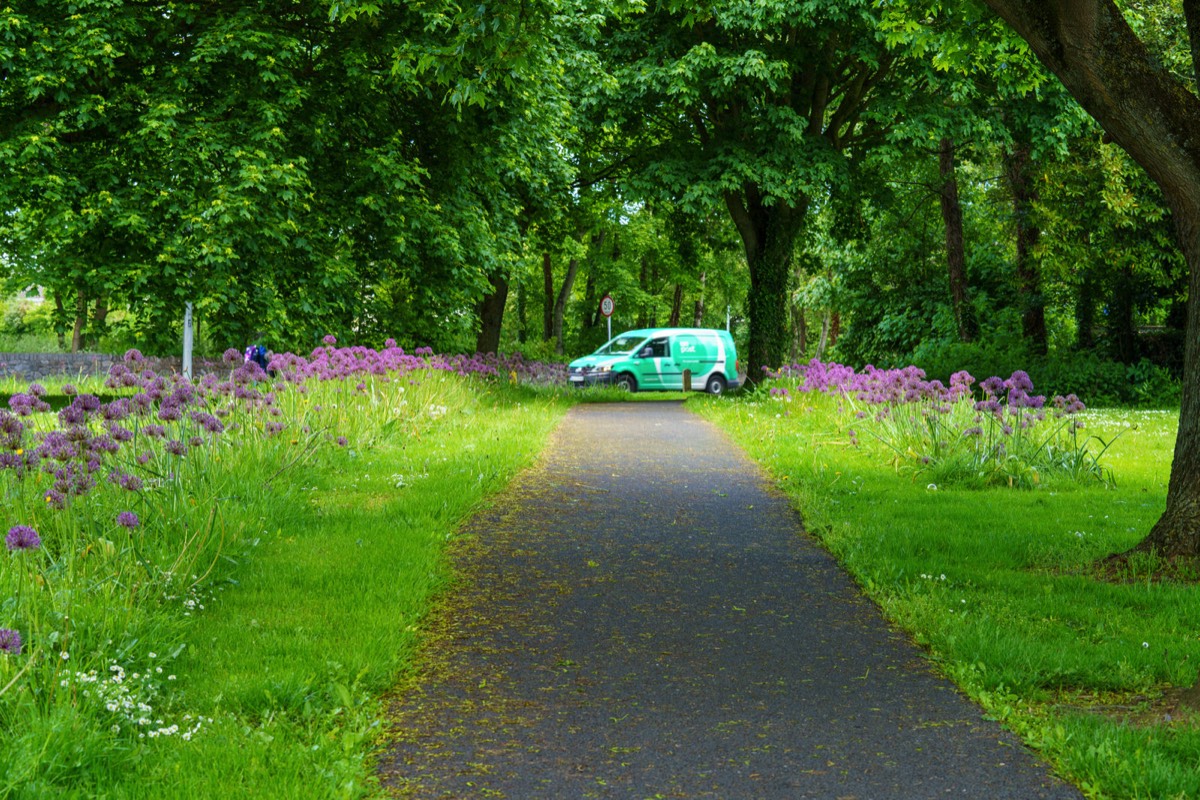 A WALK ALONG COOLMINE ROAD  FROM THE RAILWAY STATION TO CLONSILLA ROAD JUNCTION 006