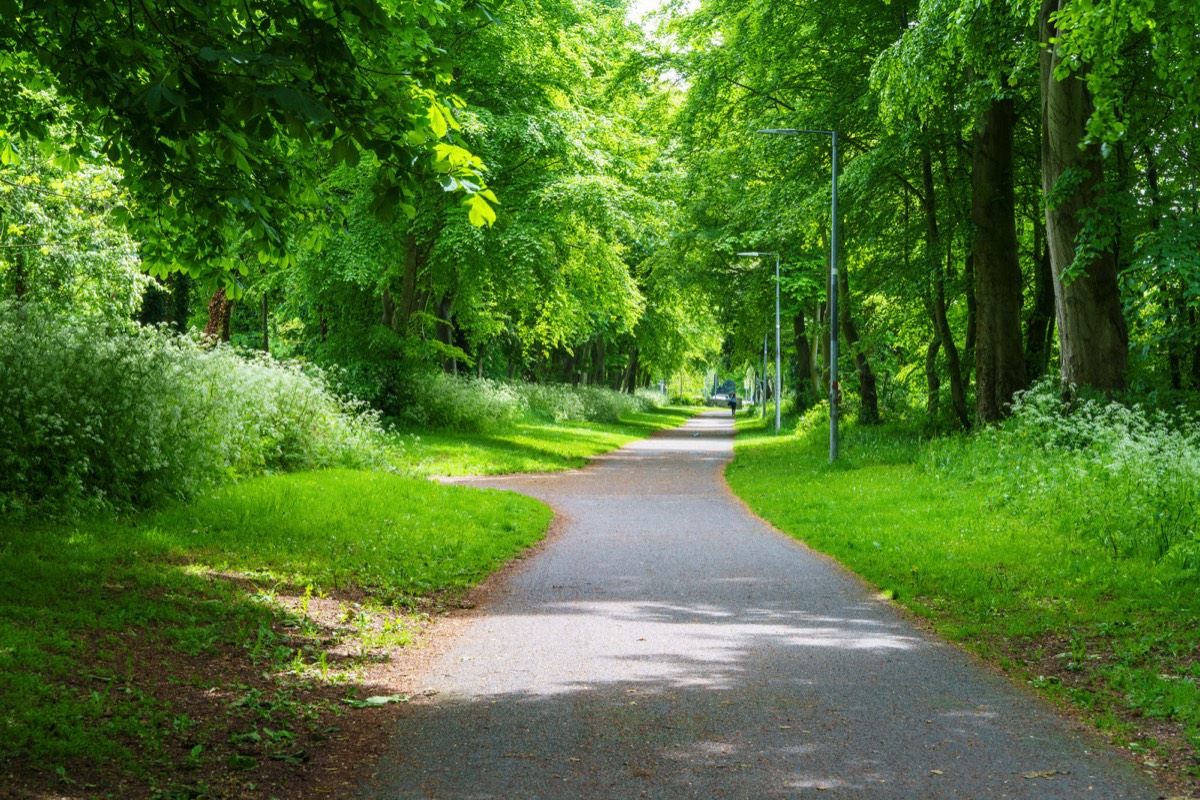 COOLMINE WOODS - I WAS UNAWARE OF THIS PUBLIC FACILITY UNTIL THIS WEEK  005