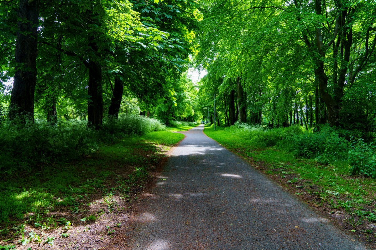 COOLMINE WOODS - I WAS UNAWARE OF THIS PUBLIC FACILITY UNTIL THIS WEEK  006