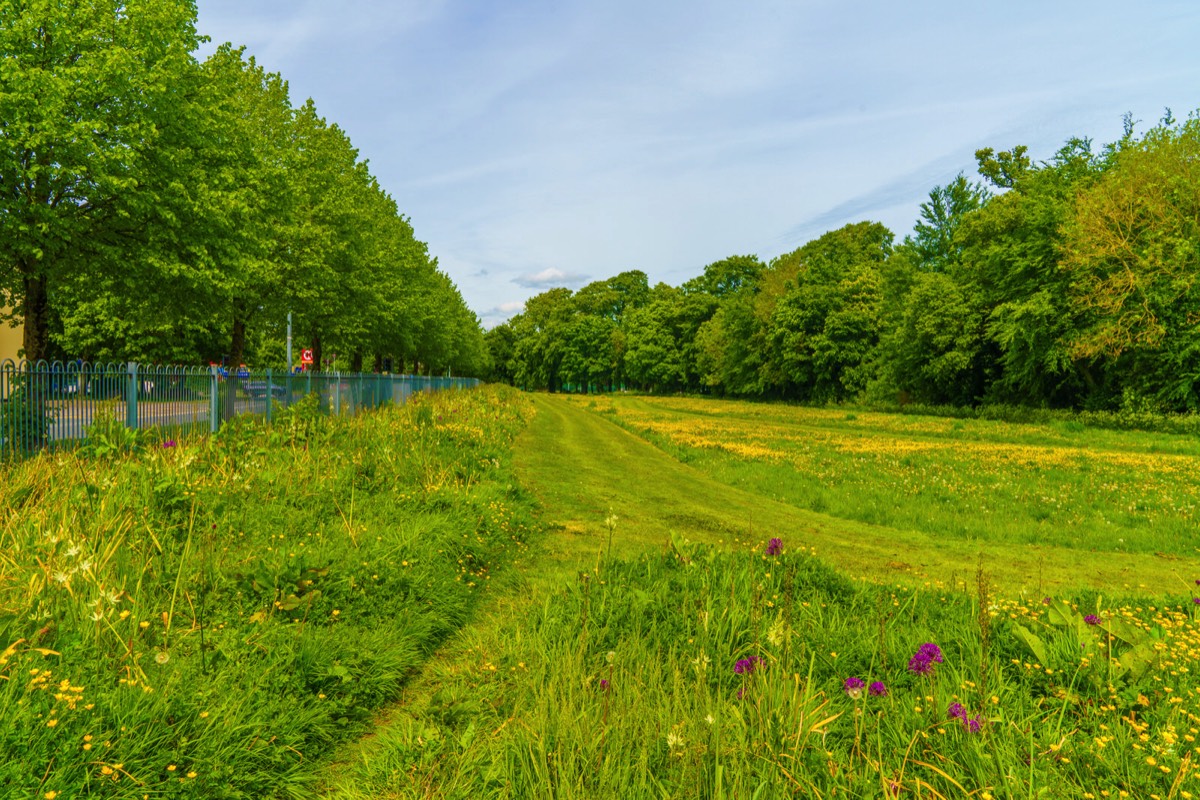 COOLMINE WOODS - I WAS UNAWARE OF THIS PUBLIC FACILITY UNTIL THIS WEEK  014