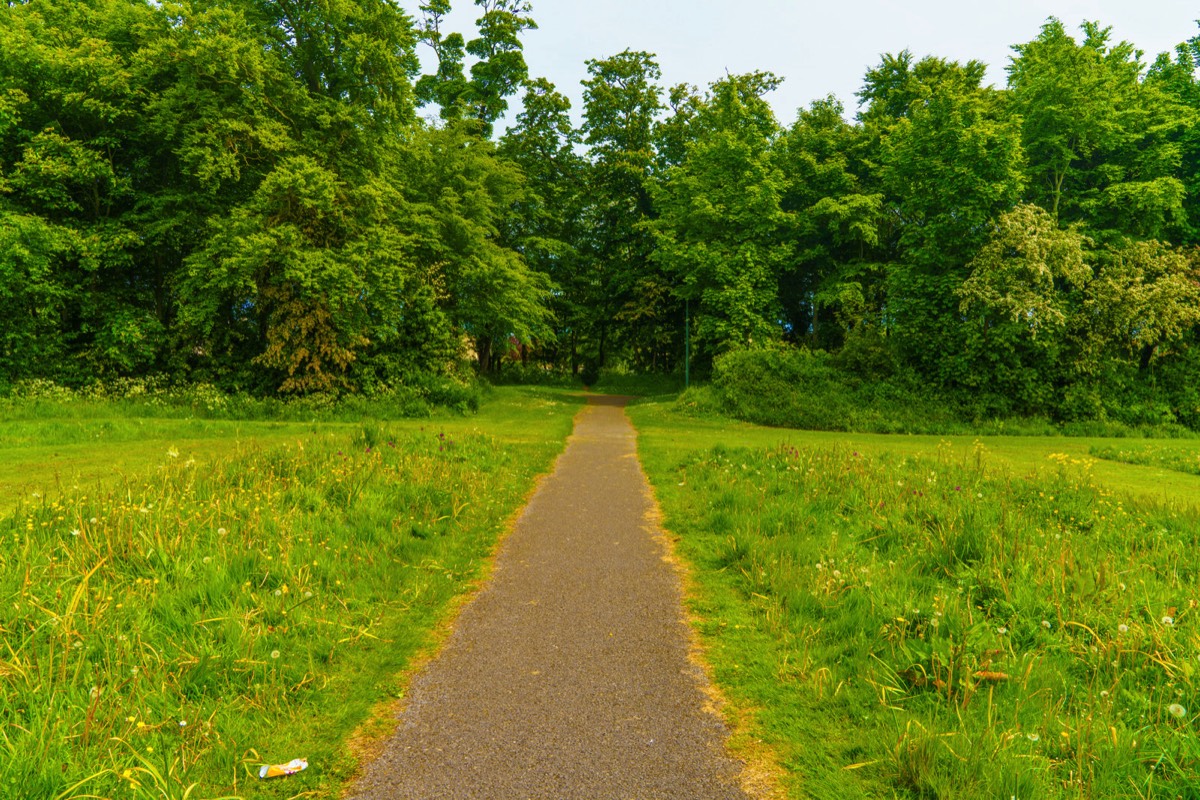 COOLMINE WOODS - I WAS UNAWARE OF THIS PUBLIC FACILITY UNTIL THIS WEEK  015